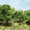 JTT 92141 - Super Scenic Trees: Orange Trees 2.5 - 3.5" - 6pcs - Multi Scale 2 JTT 92141 - Super Scenic Trees: Orange Trees 2.5 - 3.5" - 6pcs - Multi Scale -Vallejo Sales Store 0592141 2T 89370.1680931027