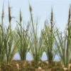JTT 95633 - Cattails: Dried 24/pk - 3/4" - HO Scale -Vallejo Sales Store 0595633 2T 67192.1680927111