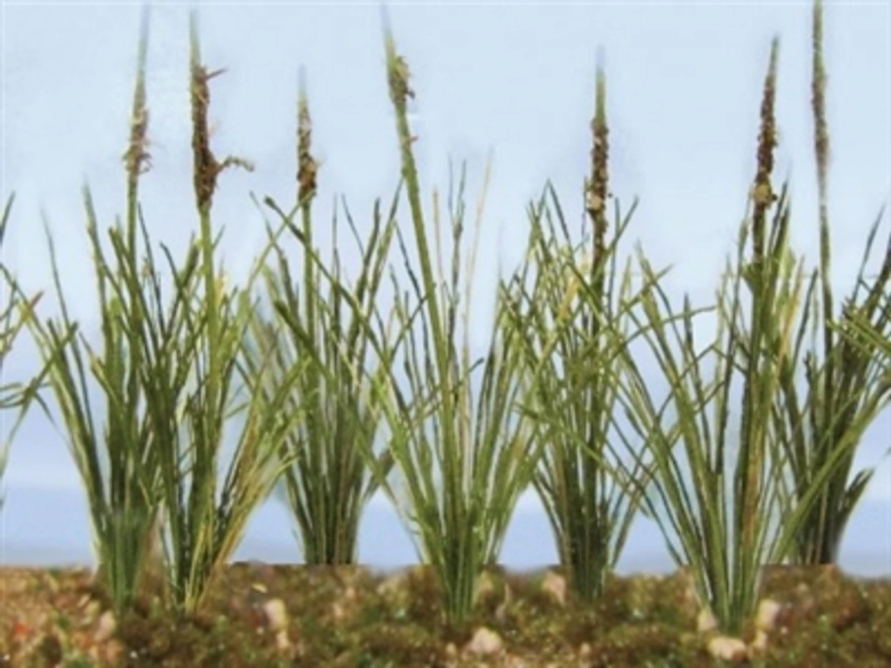 JTT 95634 - Cattails: Dried 24/pk - 1.5" - O Scale 3 JTT 95634 - Cattails: Dried 24/pk - 1.5" - O Scale