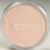 Pan Pastel 27408 - Burnt Sienna Tint 2 Pan Pastel 27408 - Burnt Sienna Tint -Vallejo Sales Store PAN27408 24489.1645223696