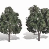 Woodland Scenics Woodland Classics #3514 - Cool Shade 5" To 6" - 2/pkg