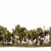 Woodland Scenics Woodland Classics #3582 - Hedgerow 1" X 4" X 8-1/2" -Vallejo Sales Store TR3582 f 1 71614.1645224815