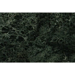 Woodland Scenics 164 - Dark Green Lichen