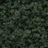 Woodland Scenics #1637 - Underbrush - Shaker - Dark Green 2 Woodland Scenics #1637 - Underbrush - Shaker - Dark Green -Vallejo Sales Store Woodland Scenics Underbrush Shaker Dark Green 121228188798 92657.1645224734