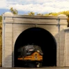Chooch #9730 - Double Concrete Tunnel Portal (2) - N Scale -Vallejo Sales Store cho9730a 75714.1671410936