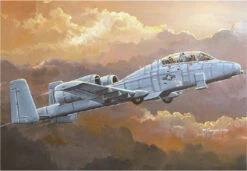 Hobby Boss 80267 - N/AW A-10A Thunderbolt II Soviet Union - 1:72 Scale Kit