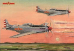 Hobby Boss 85807 - PLAAF P-51D/K Mustang Fighter United States - 1:48 Scale Kit