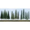 JTT 92118 - Bulk Evergreen Trees 2.5"-6", 90pcs, N To HO - Multi Scale 1 JTT 92118 - Bulk Evergreen Trees 2.5"-6", 90pcs, N To HO - Multi Scale -Vallejo Sales Store jtt592118 00230.1671411275