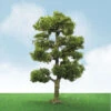 JTT 92406 - Pro-Elite Trees: Downy Birch 6" - 1pcs - O Scale 2 JTT 92406 - Pro-Elite Trees: Downy Birch 6" - 1pcs - O Scale -Vallejo Sales Store jtt592406 85227.1671411283