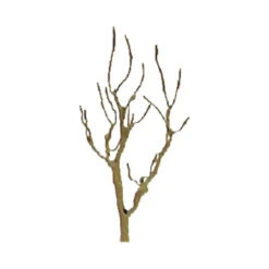 JTT 94105 - Professional Trees Pro Armature: Mountain Gum 2" - 4pcs - N Scale