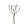 JTT 94109 - Professional Trees Pro Armature: Round Head 2.5" - 4pcs - N Scale 1 JTT 94109 - Professional Trees Pro Armature: Round Head 2.5" - 4pcs - N Scale -Vallejo Sales Store jtt594109 16558.1671411285