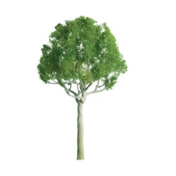 JTT 94248 - Professional Trees: Round Head 1" - 6pcs - Multi Scale