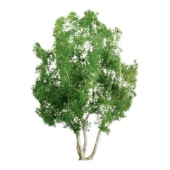 JTT 94257 - Professional Trees: Snow Gum 2.5" - 3pcs - Multi Scale