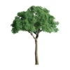 JTT 94287 - Professional Trees: Green Jacaranda 2.5" - 3pcs - Multi Scale -Vallejo Sales Store jtt594283 11804.1671411291