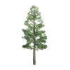 JTT 94289 - Professional Trees: Pine 1" - 6pcs - Multi Scale