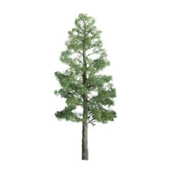 JTT 94289 - Professional Trees: Pine 1" - 6pcs - Multi Scale