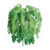 JTT 94397 - Professional Trees: Weeping Willow 1/2" - 6pcs - Multi Scale 2 JTT 94397 - Professional Trees: Weeping Willow 1/2" - 6pcs - Multi Scale -Vallejo Sales Store jtt594397 64920.1671411297