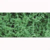 JTT 95069 - Fiber Cluster: Dark Green Medium - Pack - 150 Sq In - Multi Scale 2 JTT 95069 - Fiber Cluster: Dark Green Medium - Pack - 150 Sq In - Multi Scale -Vallejo Sales Store jtt595069 85331.1671411300