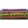 JTT 95509 - Flower Hedges: Green Blossom Blended 8/pk 5" X 3/8" X 5/8" - HO Scale 1 JTT 95509 - Flower Hedges: Green Blossom Blended 8/pk 5" X 3/8" X 5/8" - HO Scale -Vallejo Sales Store jtt595509 97816.1671411312