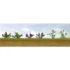 JTT 95557 - Flower Plants Assortment: #1 - 12/pk - HO Scale 1 JTT 95557 - Flower Plants Assortment: #1 - 12/pk - HO Scale -Vallejo Sales Store jtt595557 14913.1671411317
