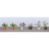 JTT 95565 - Flower Plants Potted Assortment: #1 - 6/pk - HO Scale -Vallejo Sales Store jtt595565 53432.1671411317