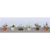 JTT 95569 - Flower Plants Potted Assortment: #3 - 6/pk - HO Scale -Vallejo Sales Store jtt595569 27810.1671411319