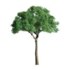 JTT 96025 - Professional Trees: Green Jacranda 6" - 1pcs - O Scale -Vallejo Sales Store jtt596025 08588.1671411329
