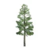 JTT 96103 - Professional Trees: Pine 12" - 1pcs - G Scale -Vallejo Sales Store jtt596103 17249.1671411330