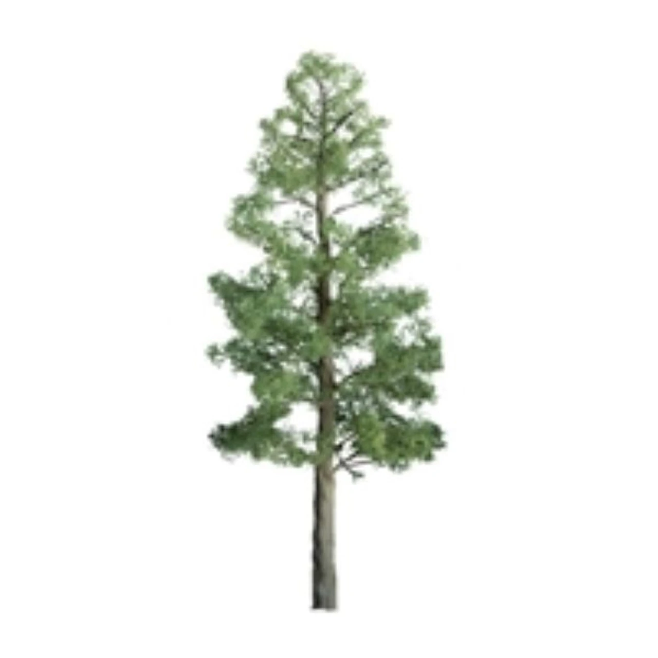 JTT 96103 - Professional Trees: Pine 12" - 1pcs - G Scale 3 JTT 96103 - Professional Trees: Pine 12" - 1pcs - G Scale
