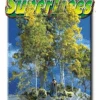 Scenic Express 0214 - Super Trees Value Pack -Vallejo Sales Store sex0214 21821.1645223989