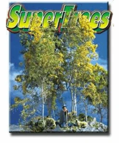 Scenic Express 0214 - Super Trees Value Pack