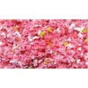 Scenic Express 6552 - SuperLeaf Flowering Blossom 16oz Shaker - Crabapple - 2 Scenic Express 6552 - SuperLeaf Flowering Blossom 16oz Shaker - Crabapple - -Vallejo Sales Store sex6552 86763.1645223994
