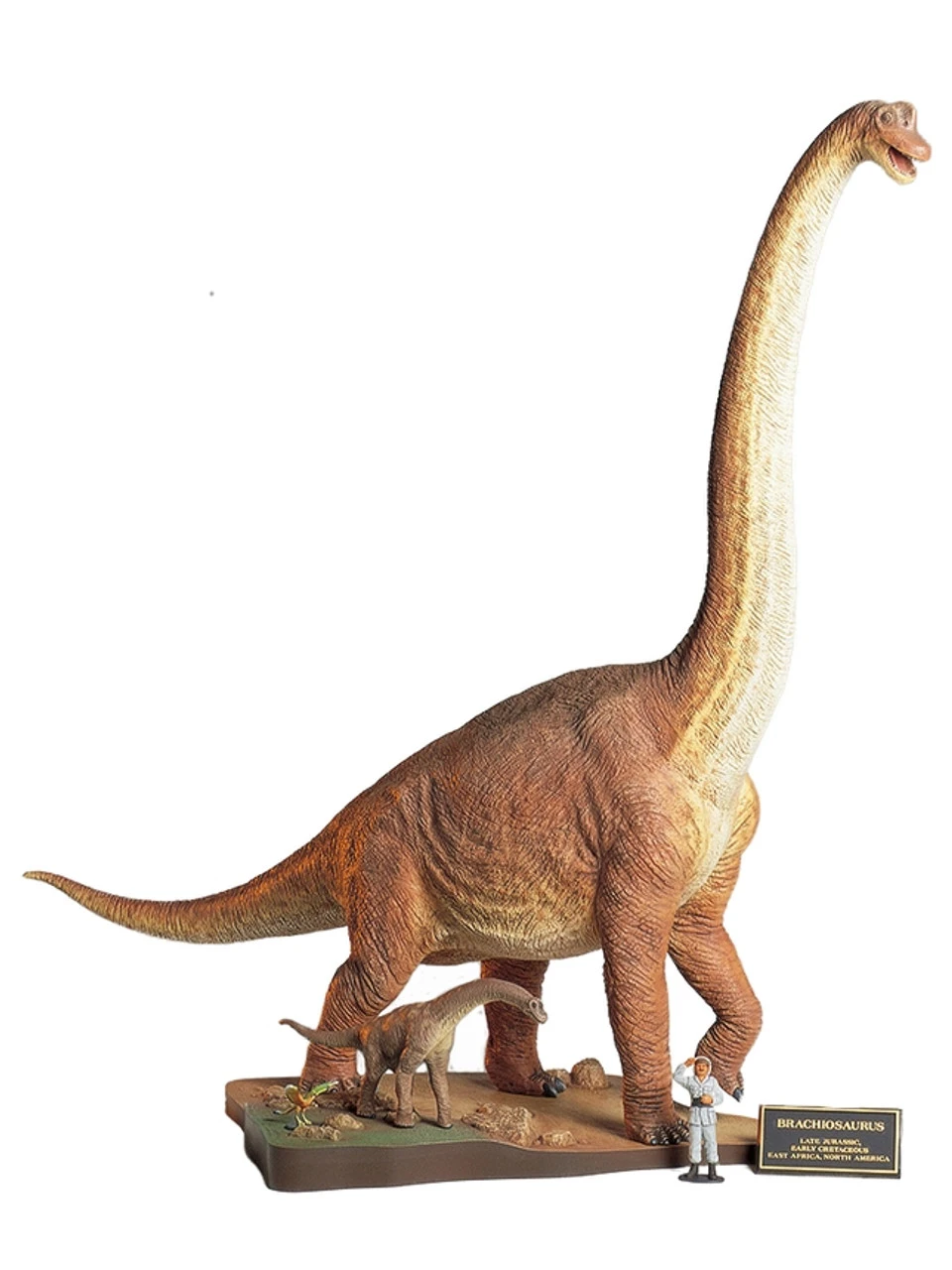 Tamiya 60106 - Brachiosaurus Diorama Set - 1:35 Scale Kit 3 Tamiya 60106 - Brachiosaurus Diorama Set - 1:35 Scale Kit