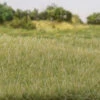 Woodland Scenics G6571 - All Game Terrain - Static Grass 5/32" 4mm Tall - Light Green -Vallejo Sales Store woo785 6571 48363.1679418780