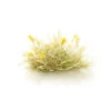 Woodland Scenics G6630 - All Game Terrain - Peel 'n' Plant Tufts - Yellow Seed -Vallejo Sales Store woo785 6630 33617.1679418834